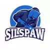Silspaw Usługi spawalnicze